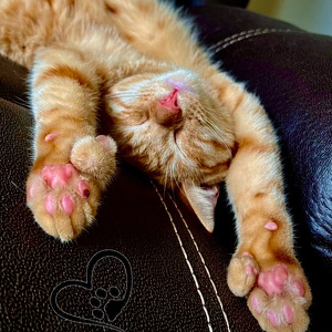 Fundraising Page: Marilyn Wine-Olson